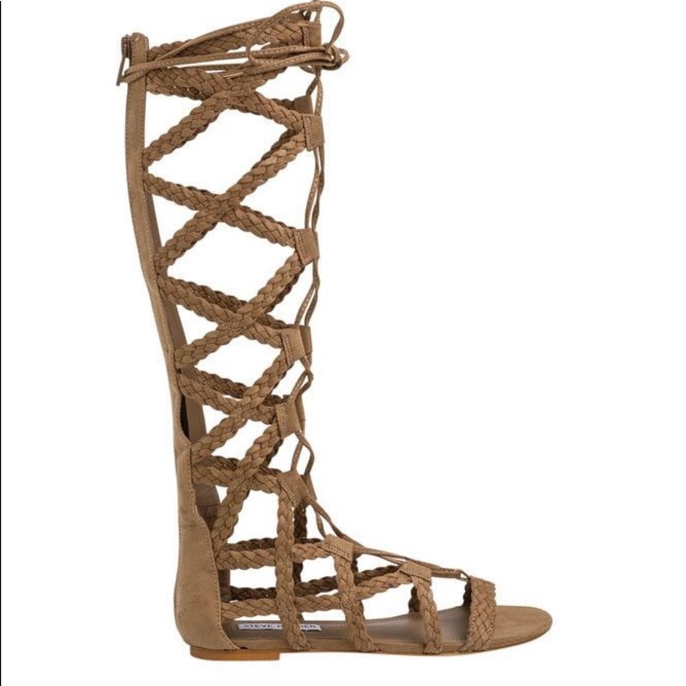 Steve Madden Gladiator Sandals NWT